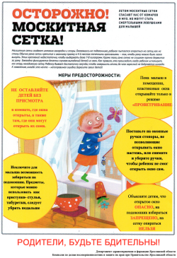 prilozhenie_pamyatka__712141v1__moskitnaya_setka_w250_h365.png